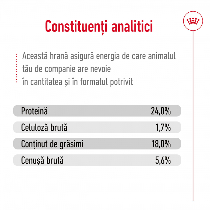 Royal Canin X-Small Adult, hrana uscata caini, 3kg [11]