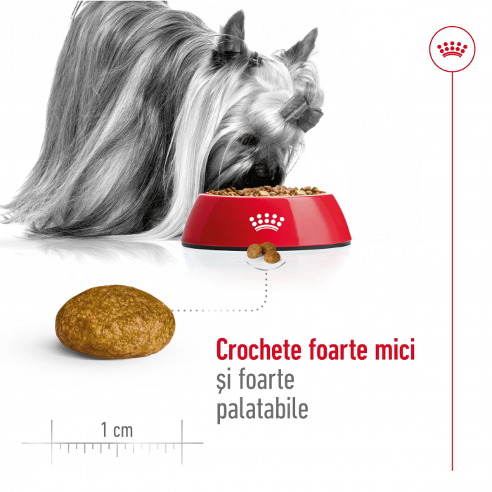 Royal Canin X-Small Adult, hrana uscata caini, 3kg [7]