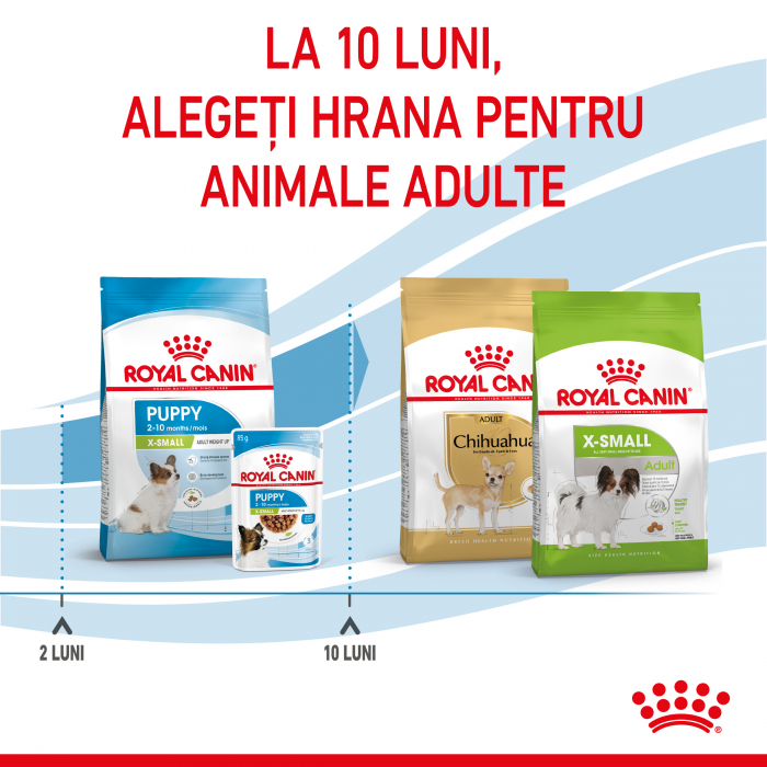 Royal Canin X-Small Puppy hrana uscata caine junior, 1.5 kg [7]
