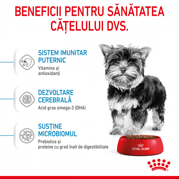 Royal Canin X-Small Puppy hrana uscata caine junior, 1.5 kg [5]