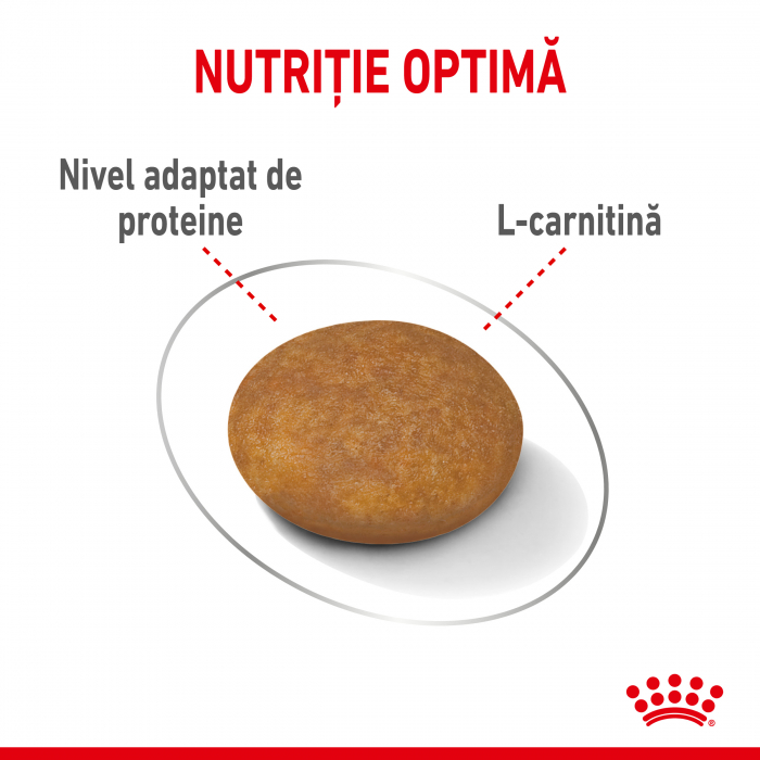 Royal Canin XSmall Light Weight Care Adult hrana uscata caine, limitarea cresterii in greutate, 500 g [6]
