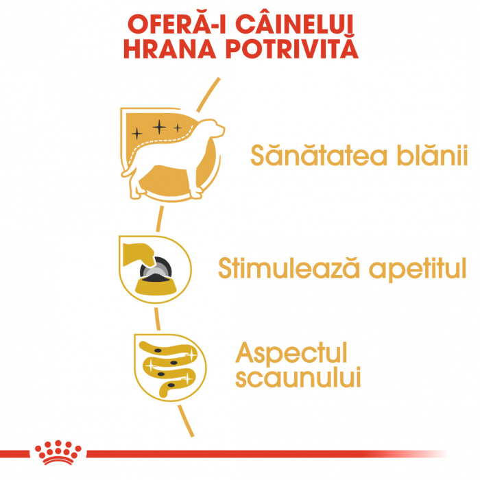 Hrana umeda pentru caini Royal Canin Yorkshire Terrier Adult, 12 x 85g [4]