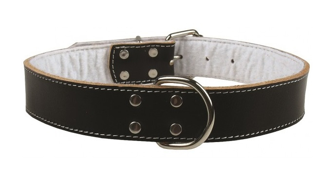 Zgarda pentru caini Pet Expert, marime XL, 3 x 70 cm, piele, negru [2]