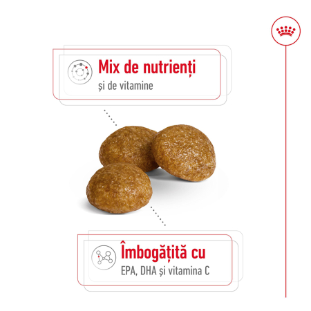 Royal Canin X-Small Adult, hrana uscata caini, 8 ani+, 1.5kg [3]