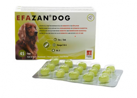 Suplimente - Supliment nutritiv Efazan Dog, Sustine functia pielii, 45 tablete