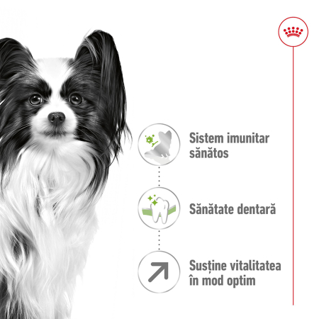 Royal Canin X-Small Adult, hrana uscata caini, 8 ani+, 1.5kg [10]