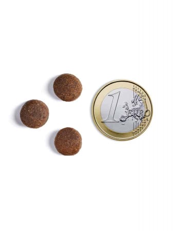 Hrana uscata pentru caini Ambrosia Adult, Vita si somon, hipoalergenic, fara cereale, 2kg [4]