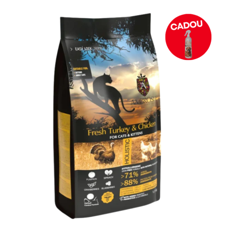 Hrană uscată - Hrana uscata pentru pisici Ambrosia Kitten, Curcan si pui, hipoalergenic, fara cereale, 5kg