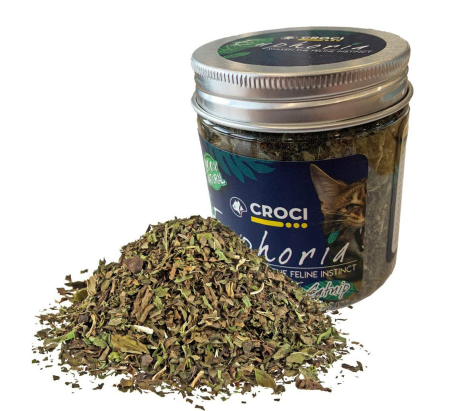 Pisici - Iarba pentru pisici Croci Euphoria, 2 g