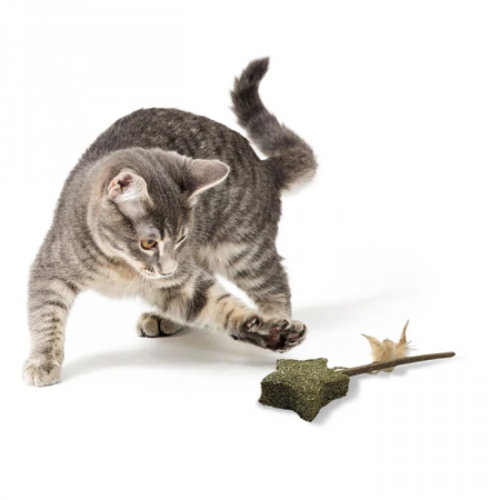 Jucarie pentru pisici Croci Euphoria Stella, stea cu catnip, 12 cm [2]