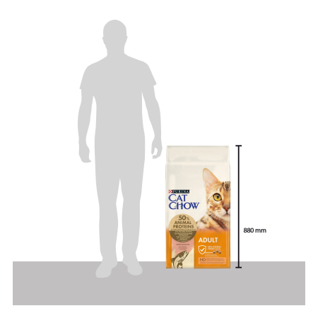 Hrana uscata pentru pisici Purina Cat Chow Adult, Somon, 15kg [5]