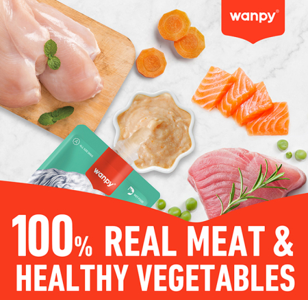 Recompensa cremoasa pentru pisici Wanpy Tasty Meat, cu Rata si dovleac, 90g [2]