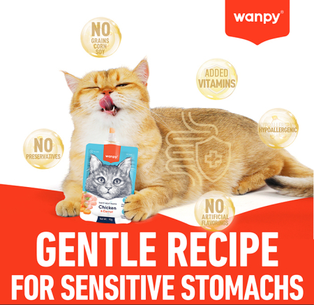 Recompensa cremoasa pentru pisici Wanpy Tasty Meat, cu Somon, pui si morcov, 90g [3]