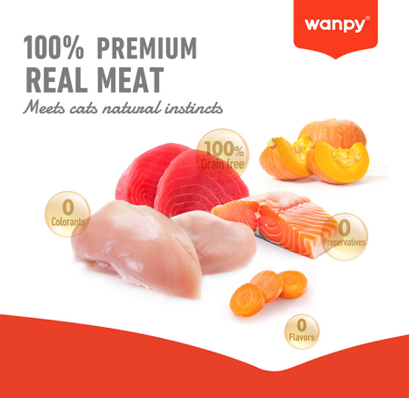 Supa pentru pisici Wanpy Tasty Meat, cu Somon, pui si morcov, 50g [5]