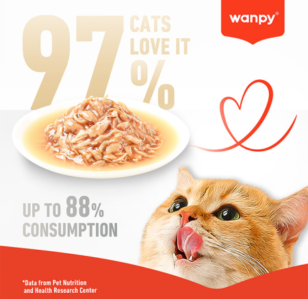 Hrana umeda (supa) pentru pisici Wanpy, cu Ton in sos, 70g [2]