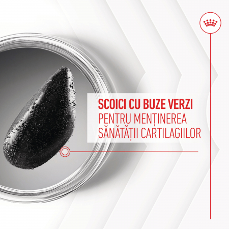 Royal Canin Adult Supliment pentru articulatii, 240g [7]