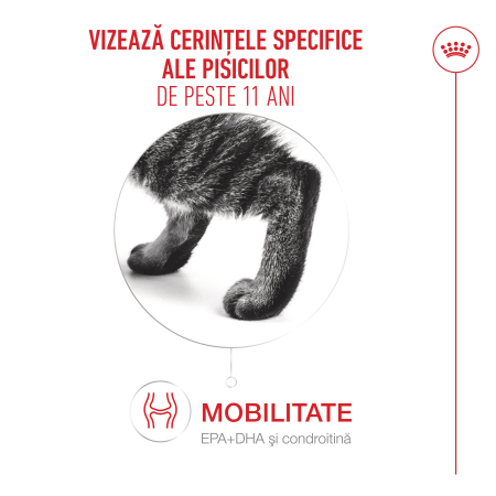Royal Canin Ageing 11+ hrana umeda pentru pisici in sos, 12 x 85g [3]