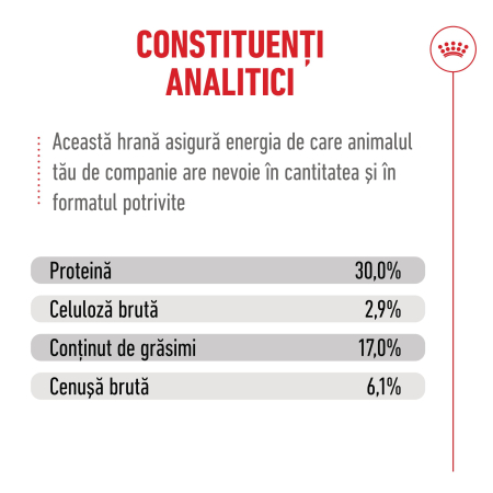 Royal Canin Ageing 11+ hrana uscata pentru pisici, 400g [9]