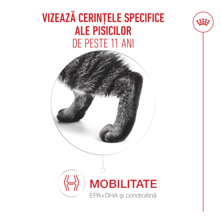 Royal Canin Ageing 11+ hrana uscata pentru pisici, 400g [3]