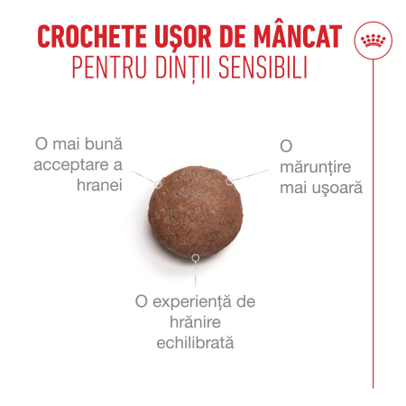 Royal Canin Ageing  Sterilised 11+ hrana uscata pentru pisici, 400g [5]