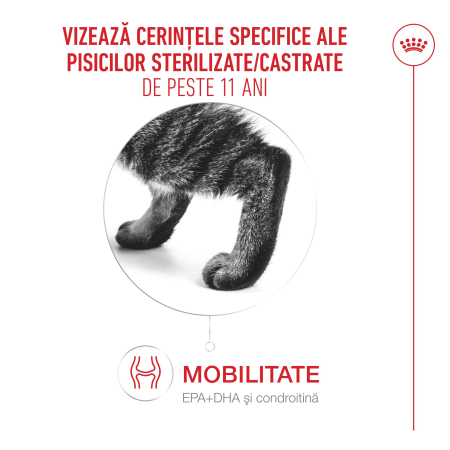 Royal Canin Ageing  Sterilised 11+ hrana uscata pentru pisici, 400g [3]