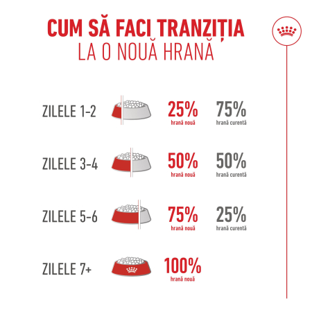 Royal Canin Ageing  Sterilised 11+ hrana uscata pentru pisici, 400g [11]