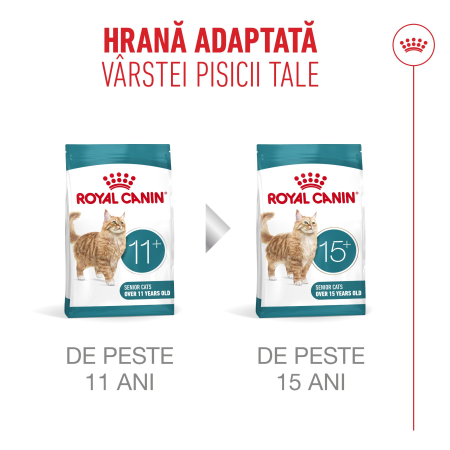 Royal Canin Ageing  Sterilised 11+ hrana uscata pentru pisici, 400g [6]