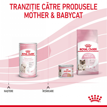 Royal Canin BabyCat Milk inlocuitor lapte matern pisica, 300 g [7]