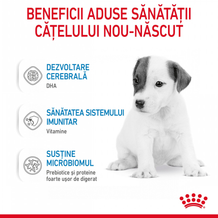 Royal Canin Babydog Milk inlocuitor lapte matern caine, 400 g [5]