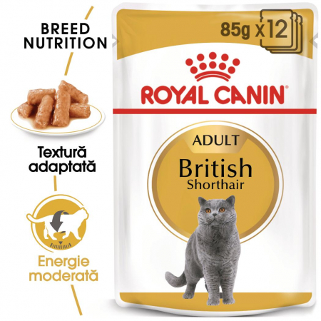 Pisici - Hrana umeda pentru pisici Royal Canin British Shorthair Adult, 12 x 85g