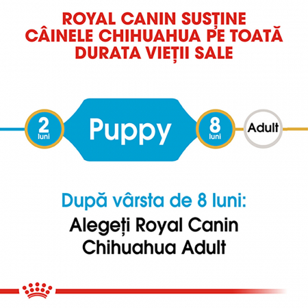 Hrana uscata pentru caini Royal Canin Chihuahua Puppy, Junior, 1.5kg [4]