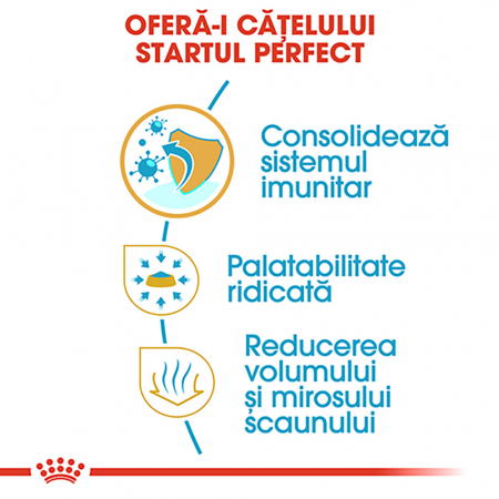 Hrana uscata pentru caini Royal Canin Chihuahua Puppy, Junior, 1.5kg [3]