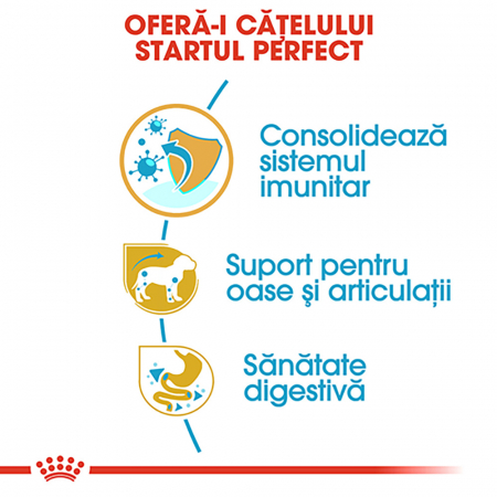 Royal Canin Dachshund Puppy hrana uscata caine junior Teckel, 1.5 kg [3]