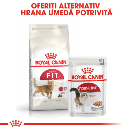 Royal Canin Fit32 Adult hrana uscata pisica cu activitate fizica moderata, 15 kg [4]