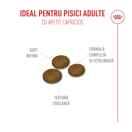 Royal Canin Fussy Exigent hrana uscata pentru pisici, 4 kg [4]