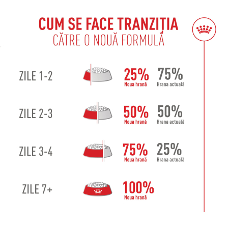 Royal Canin Fussy Exigent hrana uscata pentru pisici, 4 kg [11]