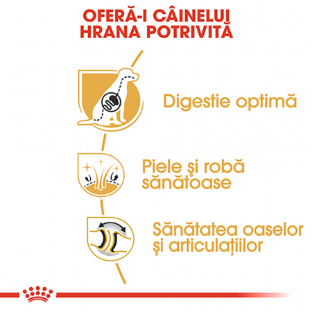 Royal Canin German Shepherd Adult hrana uscata caine Ciobanesc German, 11 kg [3]