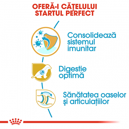 Royal Canin German Shepherd Puppy  hrana uscata caine junior Ciobanesc German, 1 kg [3]