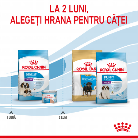 Royal Canin Giant Starter Mother & Babydog, mama si puiul, hrana uscata caine, 15 kg [6]