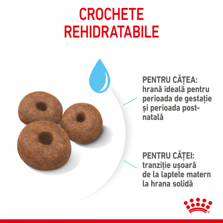 Royal Canin Giant Starter Mother & Babydog, mama si puiul, hrana uscata caine, 15 kg [5]