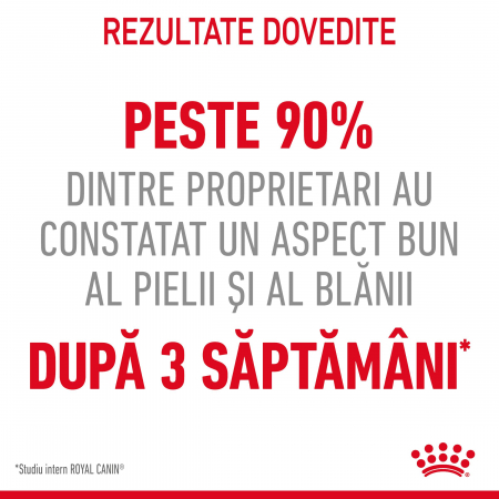 Royal Canin Hair&Skin Care Adult hrana uscata pisica, piele si blana, 10 kg [6]