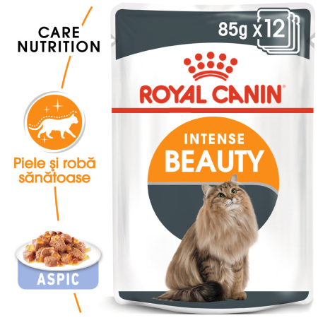 Royal Canin Intense Beauty Care Adult hrana umeda in aspic pisica pentru piele si blana sanatoase, 12 x 85 g [0]