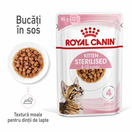 Hrană umedă - Royal Canin Kitten Sterilised hrana umeda pisica sterilizata junior (in sos), 12 x 85 g