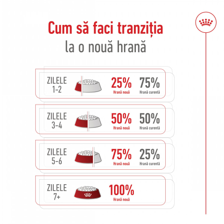 Royal Canin Maxi Adult 5+ hrana uscata caine, 15 kg [9]