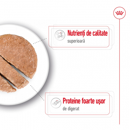 Royal Canin Maxi Adult hrana umeda caini (pate), 12 x 410g [2]