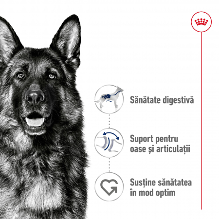 hrana-uscata-pentru-caini-royal-canin-maxi-adult-15 [5]