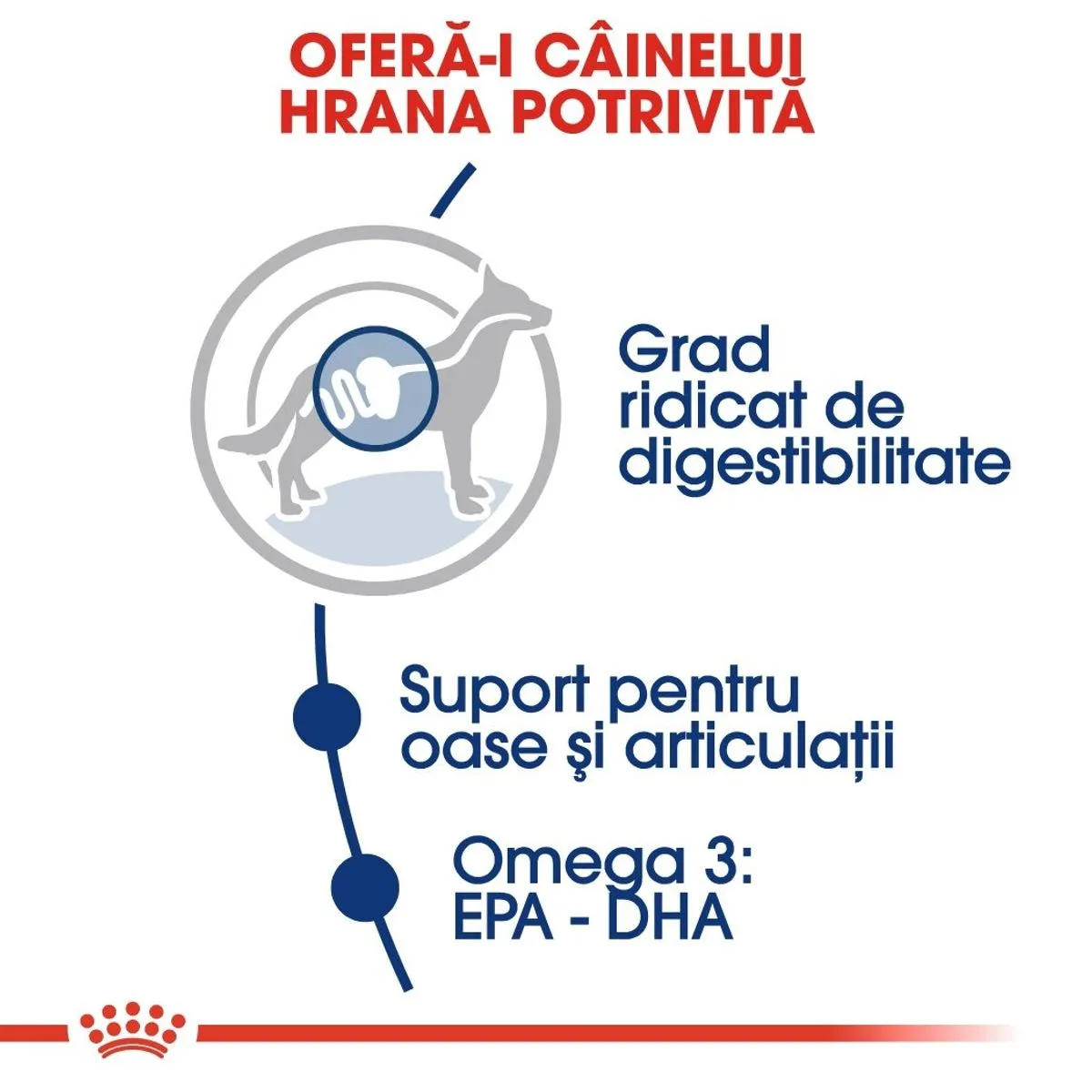 Royal Canin Maxi Adult hrana uscata caine, 15 kg + 3 kg [3]