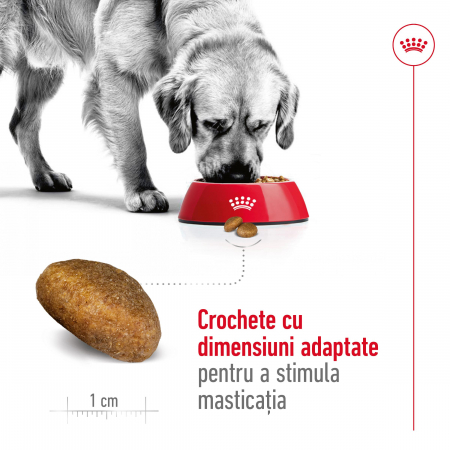 hrana-uscata-pentru-caini-royal-canin-maxi-adult-15 [7]