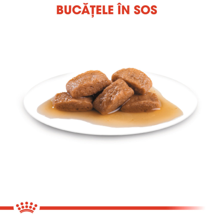 Hrana umeda pentru caini Royal Canin Maxi Ageing, 10 x 140g [2]