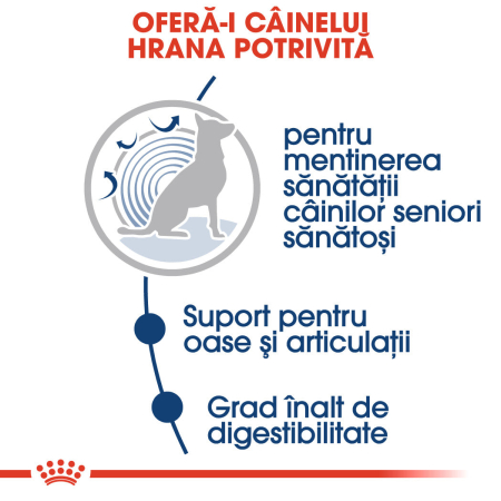 Hrana umeda pentru caini Royal Canin Maxi Ageing, 10 x 140g [1]